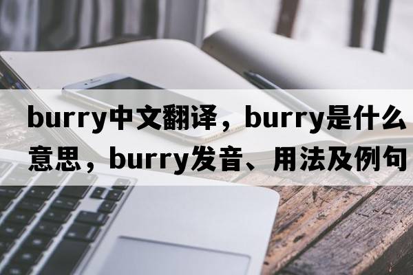 burry中文翻譯，burry是什么意思，burry發(fā)音、用法及例句