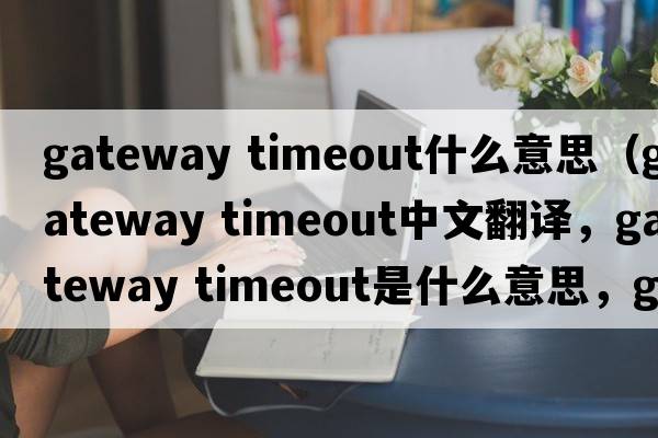 gateway timeout什么意思（gateway timeout中文翻譯，gateway timeout是什么意思，gateway timeout發(fā)音、用法及例句）