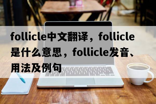 follicle中文翻譯，follicle是什么意思，follicle發(fā)音、用法及例句