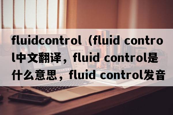 fluidcontrol（fluid control中文翻譯，fluid control是什么意思，fluid control發(fā)音、用法及例句）