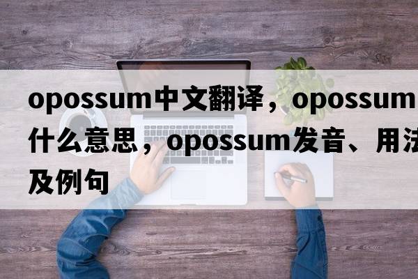 opossum中文翻譯，opossum是什么意思，opossum發(fā)音、用法及例句