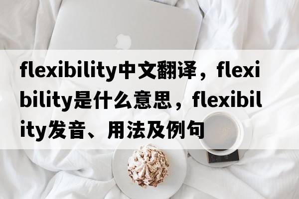 flexibility中文翻譯，flexibility是什么意思，flexibility發(fā)音、用法及例句