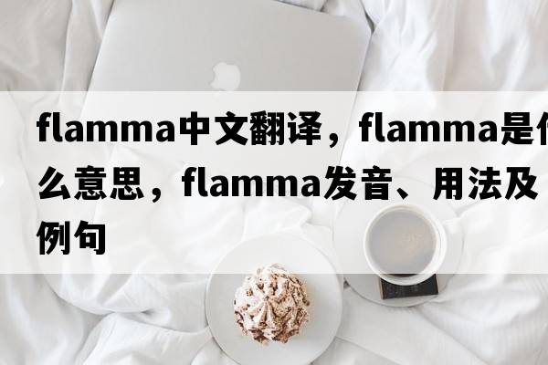 flamma中文翻譯，flamma是什么意思，flamma發(fā)音、用法及例句