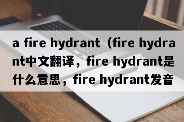 a fire hydrant（fire hydrant中文翻譯，fire hydrant是什么意思，fire hydrant發(fā)音、用法及例句）