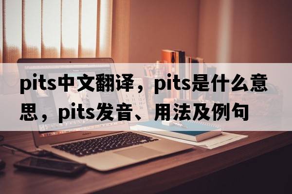 pits中文翻譯，pits是什么意思，pits發(fā)音、用法及例句
