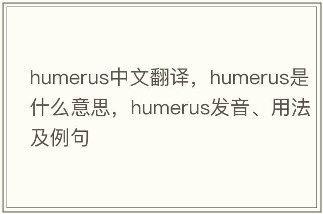 humerus中文翻譯，humerus是什么意思，humerus發(fā)音、用法及例句