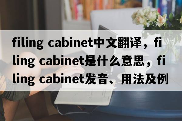 filing cabinet中文翻譯，filing cabinet是什么意思，filing cabinet發(fā)音、用法及例句