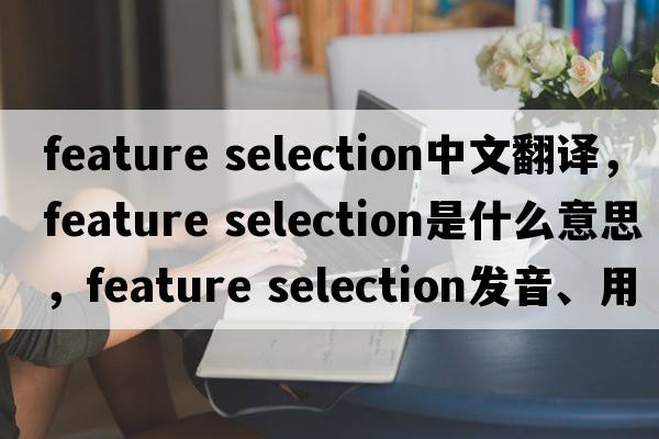 feature selection中文翻譯，feature selection是什么意思，feature selection發(fā)音、用法及例句