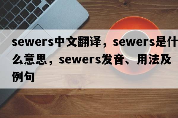 sewers中文翻譯，sewers是什么意思，sewers發(fā)音、用法及例句