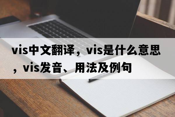 vis中文翻譯，vis是什么意思，vis發(fā)音、用法及例句
