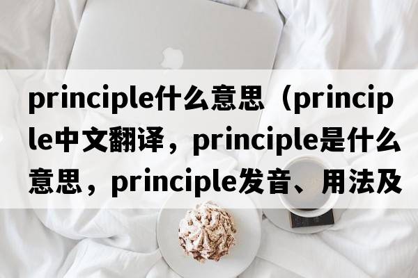 principle什么意思（principle中文翻譯，principle是什么意思，principle發(fā)音、用法及例句）