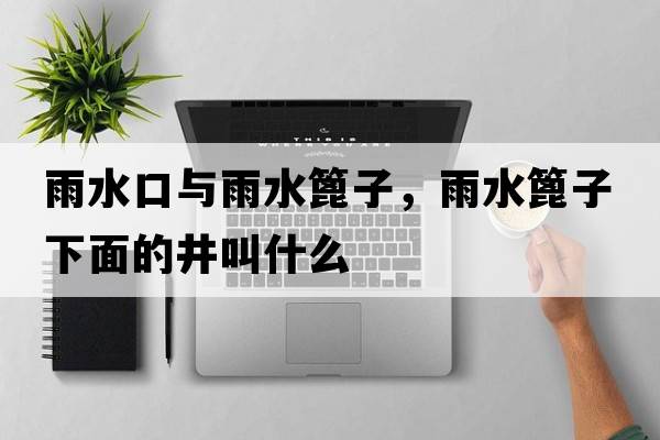 雨水口與雨水篦子，雨水篦子下面的井叫什么
