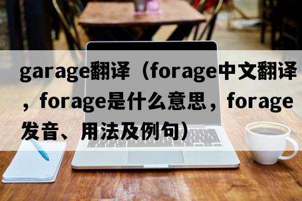 garage翻譯（forage中文翻譯，forage是什么意思，forage發(fā)音、用法及例句）