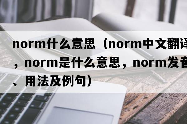 norm什么意思（norm中文翻譯，norm是什么意思，norm發(fā)音、用法及例句）