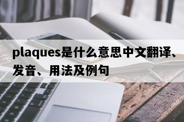 plaques是什么意思中文翻譯、發(fā)音、用法及例句