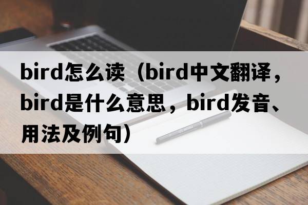 bird怎么讀（bird中文翻譯，bird是什么意思，bird發(fā)音、用法及例句）