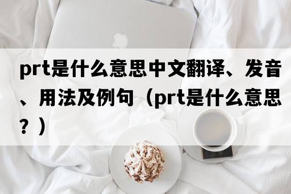 prt是什么意思中文翻譯、發(fā)音、用法及例句（prt是什么意思？）