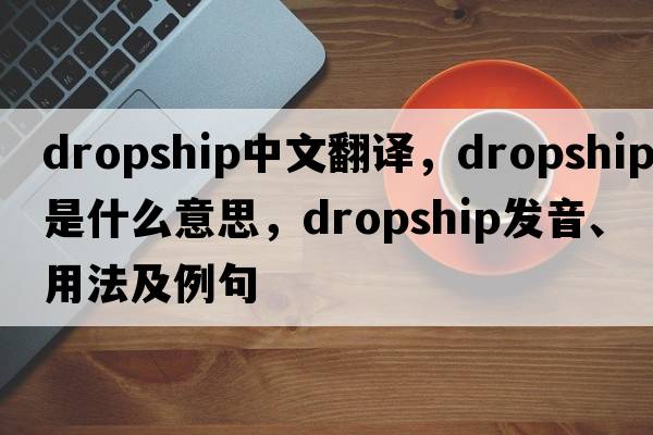dropship中文翻譯，dropship是什么意思，dropship發(fā)音、用法及例句