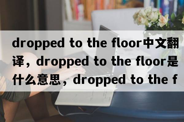 dropped to the floor中文翻譯，dropped to the floor是什么意思，dropped to the floor發(fā)音、用法及例句