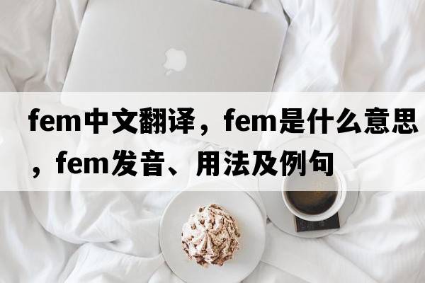 fem中文翻譯，fem是什么意思，fem發(fā)音、用法及例句