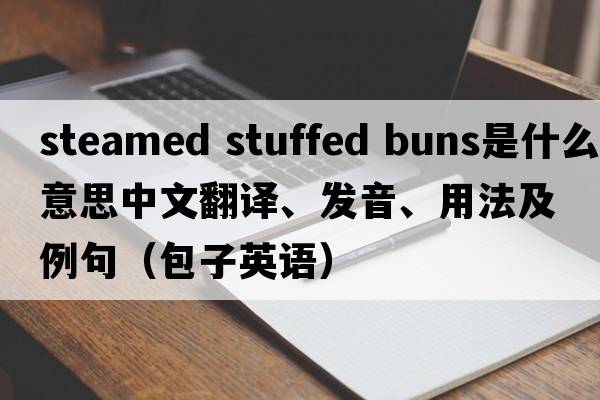 steamed stuffed buns是什么意思中文翻譯、發(fā)音、用法及例句（包子英語(yǔ)）