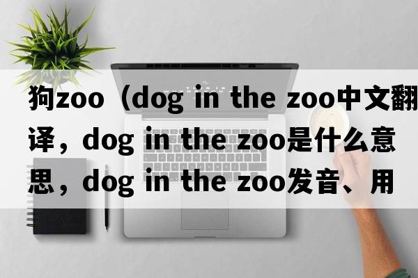 狗zoo（dog in the zoo中文翻譯，dog in the zoo是什么意思，dog in the zoo發(fā)音、用法及例句）