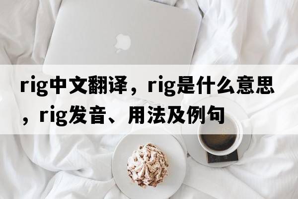 rig中文翻譯，rig是什么意思，rig發(fā)音、用法及例句
