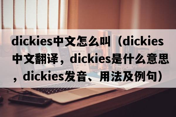 dickies中文怎么叫（dickies中文翻譯，dickies是什么意思，dickies發(fā)音、用法及例句）
