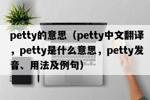 petty的意思（petty中文翻譯，petty是什么意思，petty發(fā)音、用法及例句）