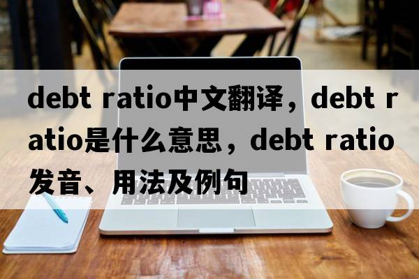 debt ratio中文翻譯，debt ratio是什么意思，debt ratio發(fā)音、用法及例句