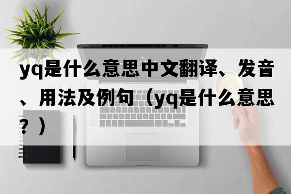 Yq是什么意思中文翻譯、發(fā)音、用法及例句（yq是什么意思？）