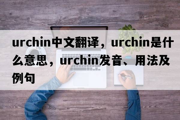 urchin中文翻譯，urchin是什么意思，urchin發(fā)音、用法及例句