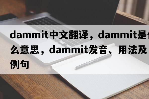 dammit中文翻譯，dammit是什么意思，dammit發(fā)音、用法及例句