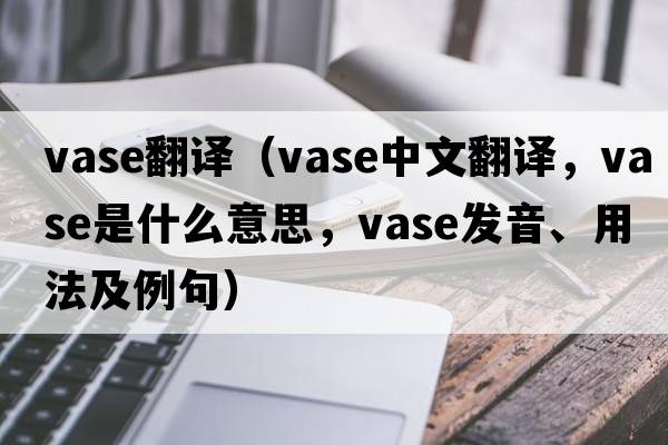 vase翻譯（vase中文翻譯，vase是什么意思，vase發(fā)音、用法及例句）