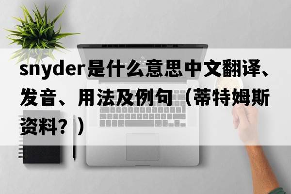 snyder是什么意思中文翻譯、發(fā)音、用法及例句（蒂特姆斯資料？）