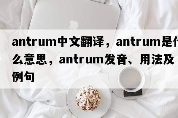 antrum中文翻譯，antrum是什么意思，antrum發(fā)音、用法及例句