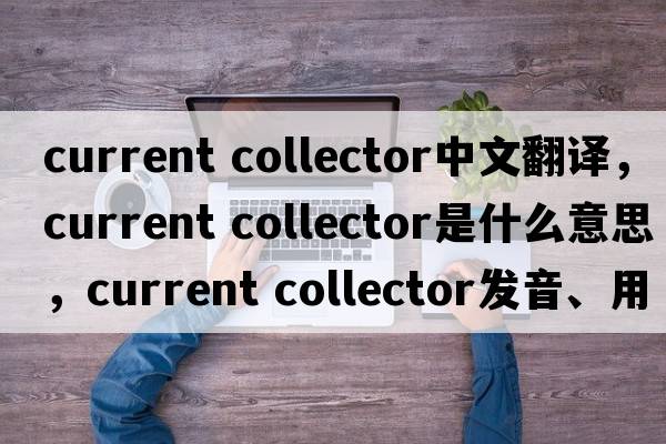 current collector中文翻譯，current collector是什么意思，current collector發(fā)音、用法及例句