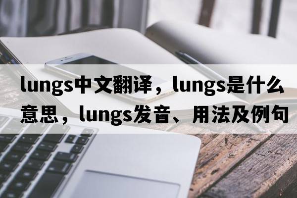 lungs中文翻譯，lungs是什么意思，lungs發(fā)音、用法及例句