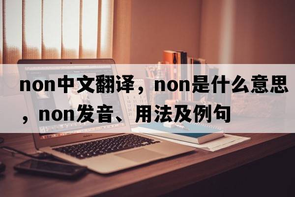 non中文翻譯，non是什么意思，non發(fā)音、用法及例句