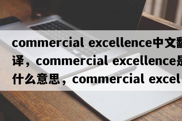 commercial excellence中文翻譯，commercial excellence是什么意思，commercial excellence發(fā)音、用法及例句