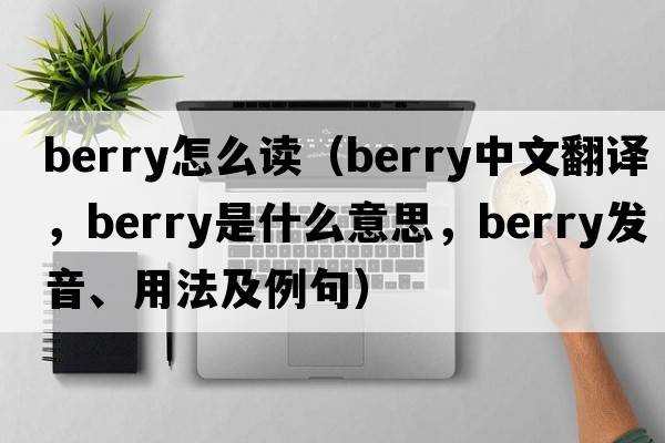 berry怎么讀（berry中文翻譯，berry是什么意思，berry發(fā)音、用法及例句）
