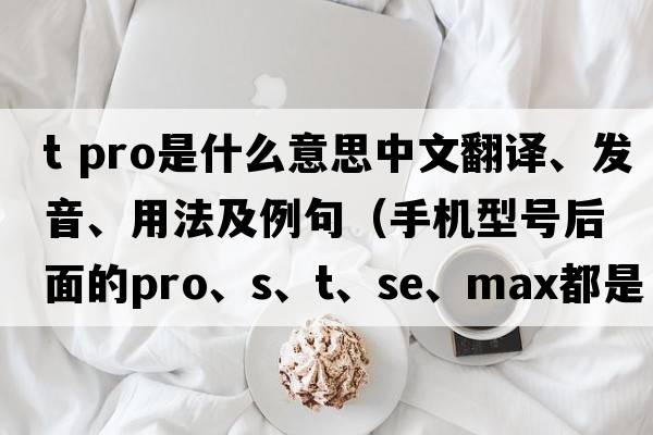 t pro是什么意思中文翻譯、發(fā)音、用法及例句（手機型號后面的Pro、S、T、SE、Max都是什么意思？）