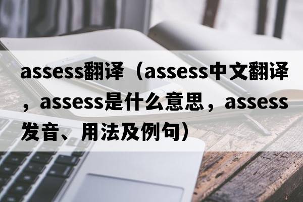 assess翻譯（assess中文翻譯，assess是什么意思，assess發(fā)音、用法及例句）