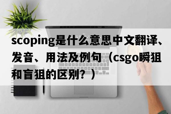 scoping是什么意思中文翻譯、發(fā)音、用法及例句（csgo瞬狙和盲狙的區別？）