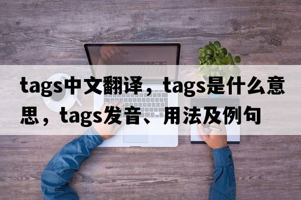 tags中文翻譯，tags是什么意思，tags發(fā)音、用法及例句