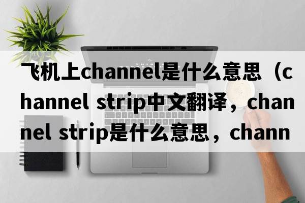 飛機上channel是什么意思（channel strip中文翻譯，channel strip是什么意思，channel strip發(fā)音、用法及例句）