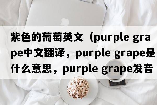 紫色的葡萄英文（purple grape中文翻譯，purple grape是什么意思，purple grape發(fā)音、用法及例句）