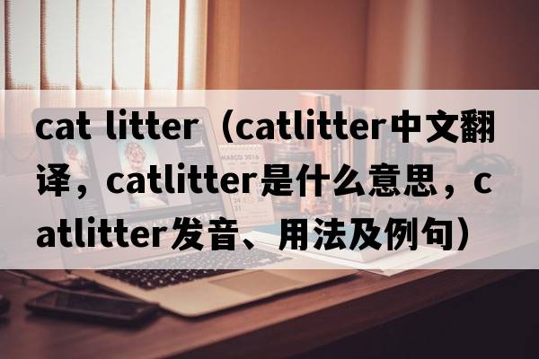 cat litter（catlitter中文翻譯，catlitter是什么意思，catlitter發(fā)音、用法及例句）