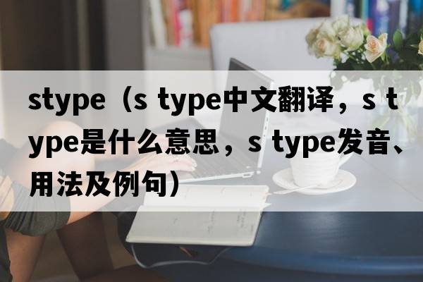 stype（s type中文翻譯，s type是什么意思，s type發(fā)音、用法及例句）