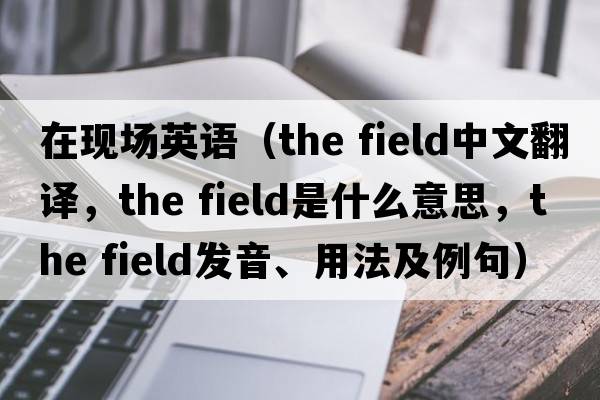 在現場(chǎng)英語(yǔ)（the field中文翻譯，the field是什么意思，the field發(fā)音、用法及例句）
